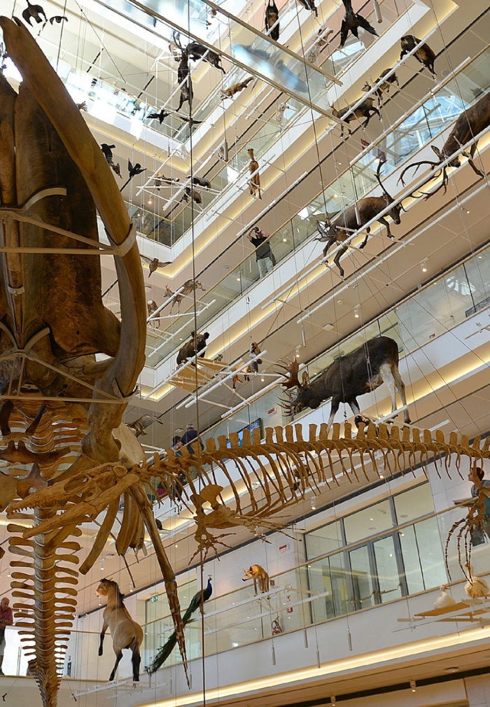 Corona Dolomites Hotel 4* Superior